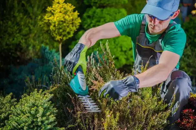 landscaping services Galeville